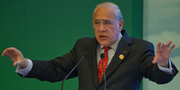 Generálny tajomník Organizácie pre hospodársku spoluprácu a rozvoj (OECD) Ángel Gurría 