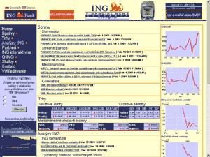 www.ingfn.sk