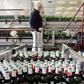 Pivovar Samson k�pili Ameri�ania, ktor� sa s�dia o zna�ku Budweiser