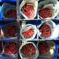 Organizované podvody s DPH: Na Slovensku preclíte aj kyticu ruží ako značkovú športovú obuv Organizované podvody s DPH: Na Slovensku preclíte aj kyticu ruží ako značkovú športovú obuv
