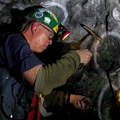 Goldman Sachs: Ropa sa zotav� r�chlej�ie ne� kovy