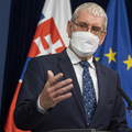 SaS nes�hlas� so zv��en�m odvodov, s ktor�m po��ta d�chodkov� reforma
