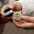 Konopný biznis úctyhodne rastie, do americkej ekonomiky pumpuje miliardy dolárov Konopný biznis úctyhodne rastie, do americkej ekonomiky pumpuje miliardy dolárov