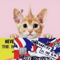 U� aj anarchisti maj� svoju kreditku, s potla�ou Sex Pistols
