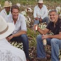 George Clooney sa náhodne zaplietol do tequilového biznisu, firmu predali za miliardu dolárov George Clooney sa náhodne zaplietol do tequilového biznisu, firmu predali za miliardu dolárov