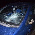 Ceny PZP m��u bud�ci rok mierne r�s�
