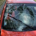 Ceny sa výrazne líšia: Zopár rád, ktoré vám uľahčia výber zákonnej poistky auta Ceny sa výrazne líšia: Zopár rád, ktoré vám uľahčia výber zákonnej poistky auta