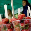 Sez�na jah�d: Kilogram u� za jedno euro