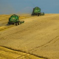 Globálne ceny agrokomodít klesajú, potraviny na pultoch však lacnejšie nie sú Globálne ceny agrokomodít klesajú, potraviny na pultoch však lacnejšie nie sú