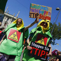 V �om je TTIP nebezpe�n�: Podivuhodn� katastrofa menom globaliz�cia