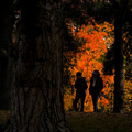Pre�o nezah��ame pr�rodn� bohatstvo do n�rodn�ch ��tov?