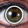 Banky zavedú biometriu: EÚ vyžaduje prísnejšie pravidlá identifikácie Banky zavedú biometriu: EÚ vyžaduje prísnejšie pravidlá identifikácie