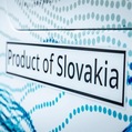 Slovensk� vod�kov� autobus: Prototyp predstavili na ve�trhu v �esku
