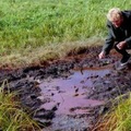 Franc�zi u� nechc� jedl� z mikrovlnky, z�kon prik�e ozna�ova� ich