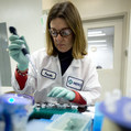 Super odpo�et: �t�t da�ovo zv�hodn� podniky, ktor� zainvestuj� do vedy a v�skumu