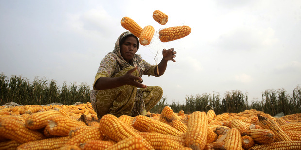 Plat�me za drah� ropu aj vy���mi cenami potrav�n?