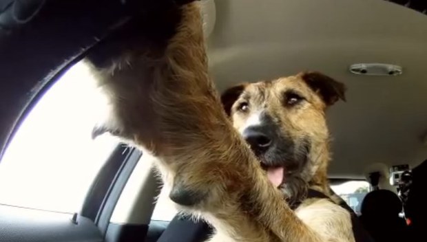 Smiech cez slzy: Neuveriteľné úrazy roku 2014 Smiech cez slzy: Neuveriteľné úrazy roku 2014