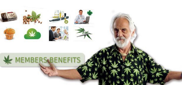 Obchodn�ci s marihuanou p�taj� hotovos�: Tommy Chong na�iel rie�enie pre bankov� probl�m
