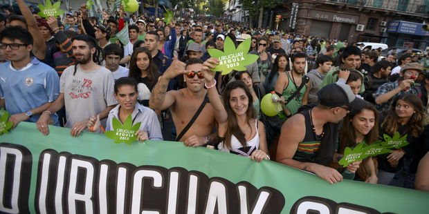 Uruguaj skuto�ne zlegalizoval marihuanu