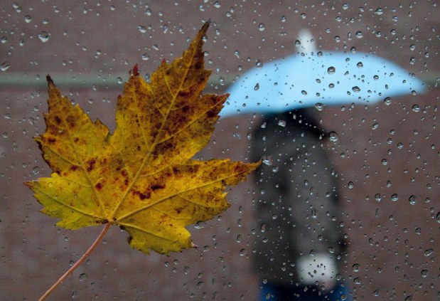 Ktorá krajina by sa mohla stať veľmocou zajtrajška? Ktorá krajina by sa mohla stať veľmocou zajtrajška?