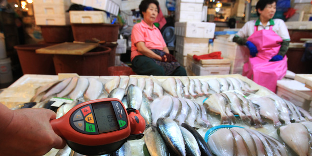 Japonsko bez jadra: Bude dos� elektriny na zimu?