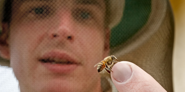 Liek na nezamestnanos� je v Po�sku sladk�