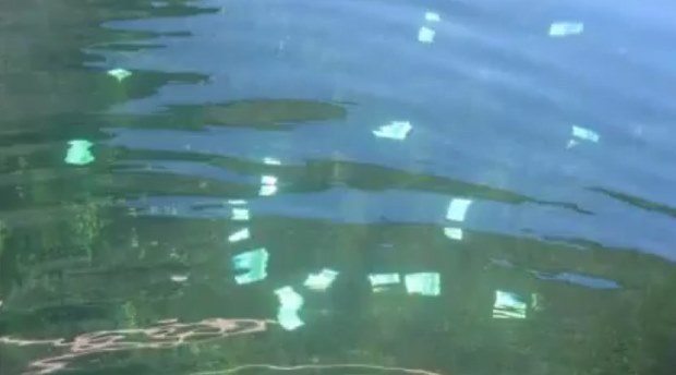 Prv� stopa tajomn�ch pe�az� v Dunaji: Pol�cia vie, z ktorej banky s� 