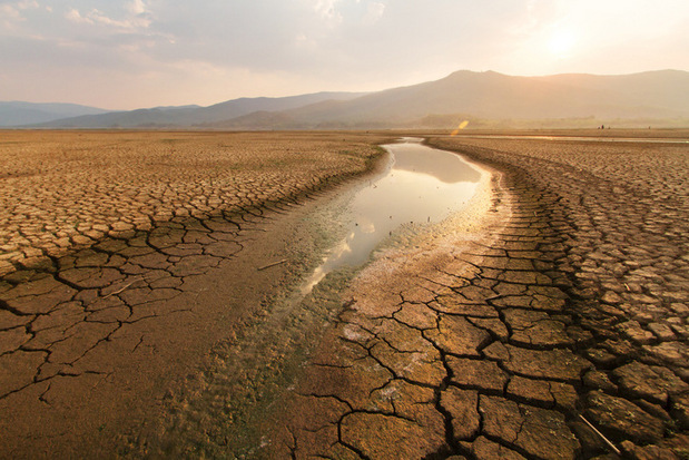 M�so, monopoly, megafarmy: Americk� potravinov� syst�m v�razne podporuje klimatick� kr�zu