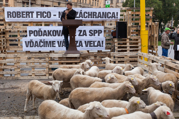 Invázia českých žralokov: V slovenskom mori lovia na istotu Invázia českých žralokov: V slovenskom mori lovia na istotu