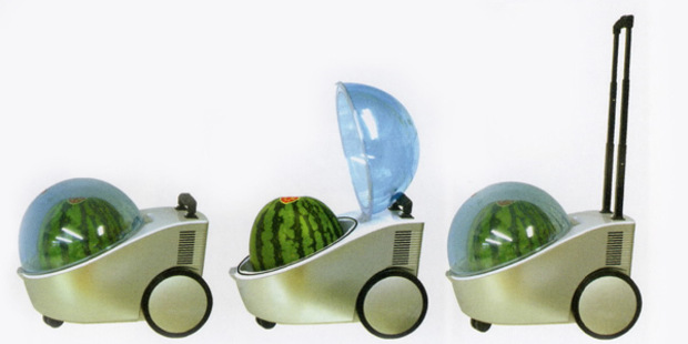 Hi-tech na trhovisku: Prenosná chladnička melónov za 230 dolárov Hi-tech na trhovisku: Prenosná chladnička melónov za 230 dolárov