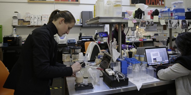 Giles Merritt: �t�t by mal da� z�ruky pre za��naj�cich podnikate�ov!