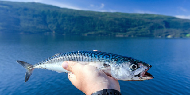 N�rsko m� pl�n: Pom��eme �nii s ropou a plynom ak sa vyka�le na uhlie