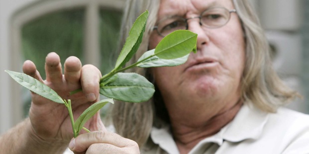 Nepokoje v Egypte: �ierny �aj je najlacnej�� za tri roky