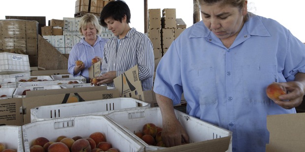 Brusel v r�mci reformy zn�i dot�cie pre ve�koobjemov� farmy