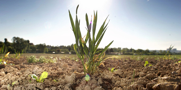 Desať bublín, ktoré môžu prasknúť v roku 2014 Desať bublín, ktoré môžu prasknúť v roku 2014