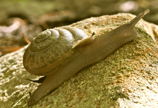 Štyridsiatka na krku a dôchodok možno ani nebude Štyridsiatka na krku a dôchodok možno ani nebude