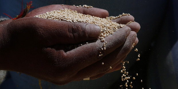 Odmena 10 000: Stačí svoje dieťa pomenovať po superpotravine Odmena 10 000: Stačí svoje dieťa pomenovať po superpotravine