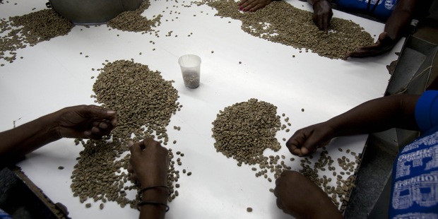 Za nedostatok kvalitnej k�vy m��e aj popularita kaps�l  