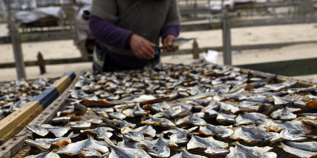 Varovanie �k�tskeho premi�ra: Pustite n�s do E�, inak vy�enieme ryb�rov